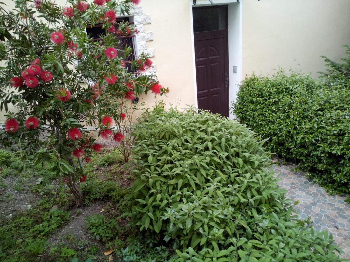 B&B Baddesalighes Bolotana Экстерьер фото