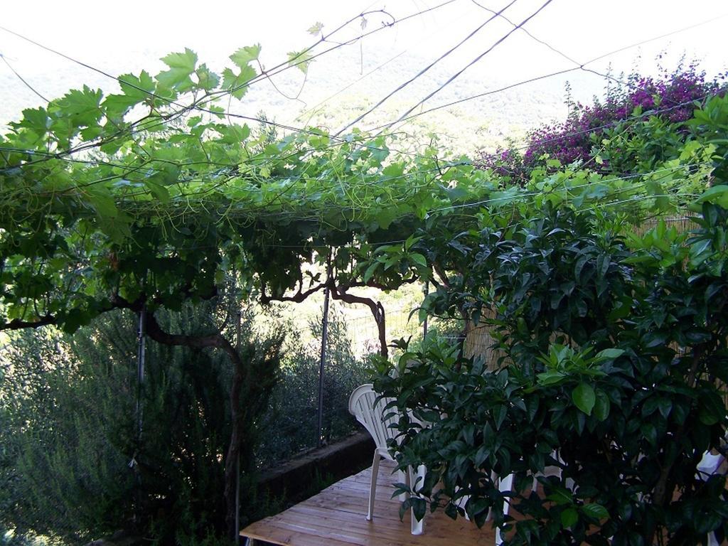 B&B Baddesalighes Bolotana Экстерьер фото